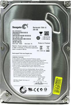 Seagate Desktop HDD ST250DM000 250 