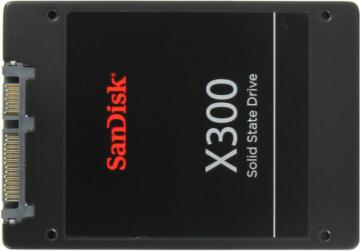 SanDisk X300 256 
