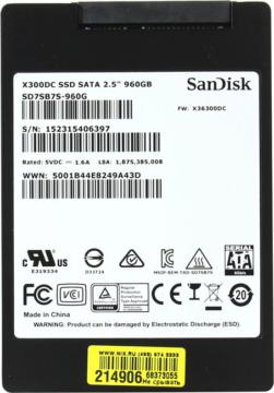 SanDisk X300DC 960 