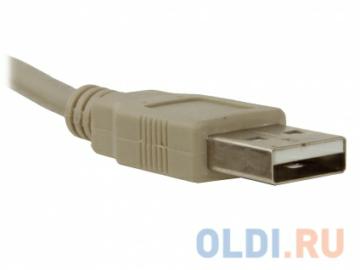   USB2.0 AmBm  3  